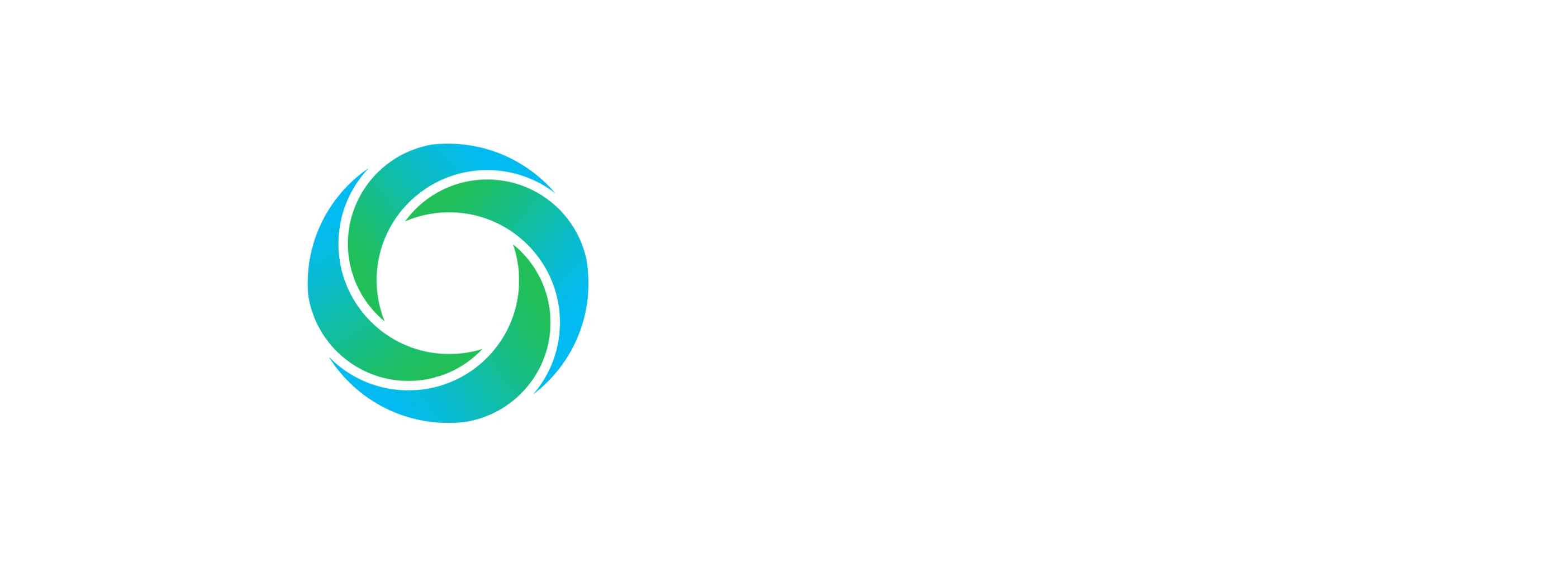 Rover AI
